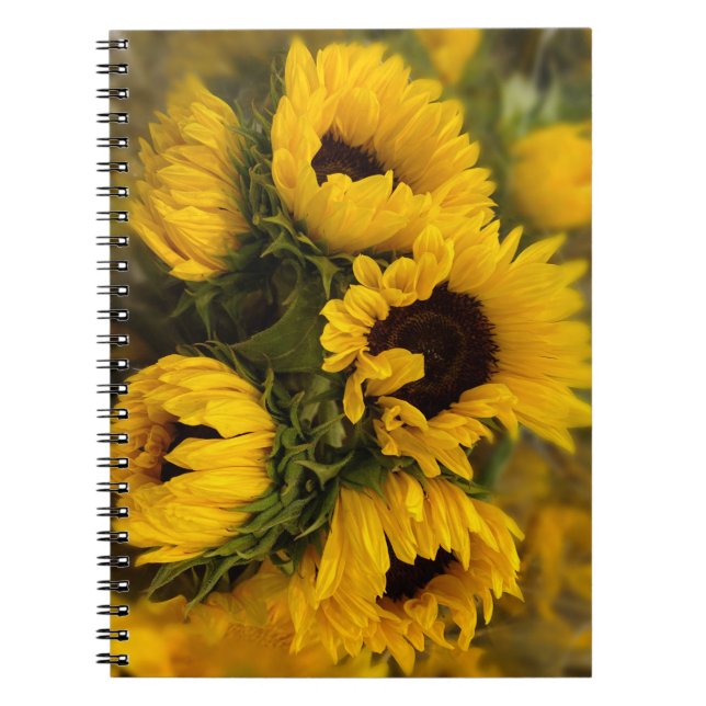 Sonnenblumen Blur Notebook Notizblock (Vorderseite)
