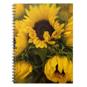 Sonnenblumen Blur Notebook Notizblock