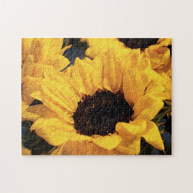 Sonnenblumen Botanische Schönheit (Horizontal)