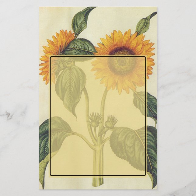 Sonnenblumen Briefpapier (Vorderseite)