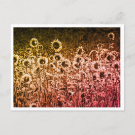 "Sonnenblumen-Brigade" Postkarte