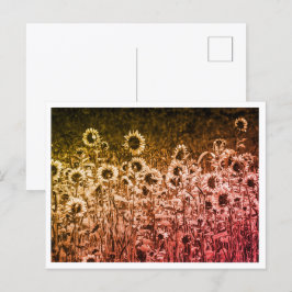 "Sonnenblumen-Brigade" Postkarte