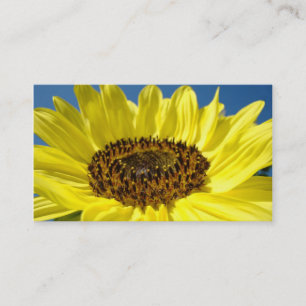 Sonnenblumen Business Cards Blumensträuße Sonnenbl Visitenkarte