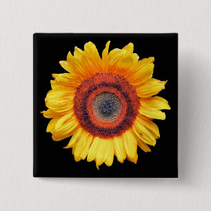 SONNENBLUMEN BUTTON