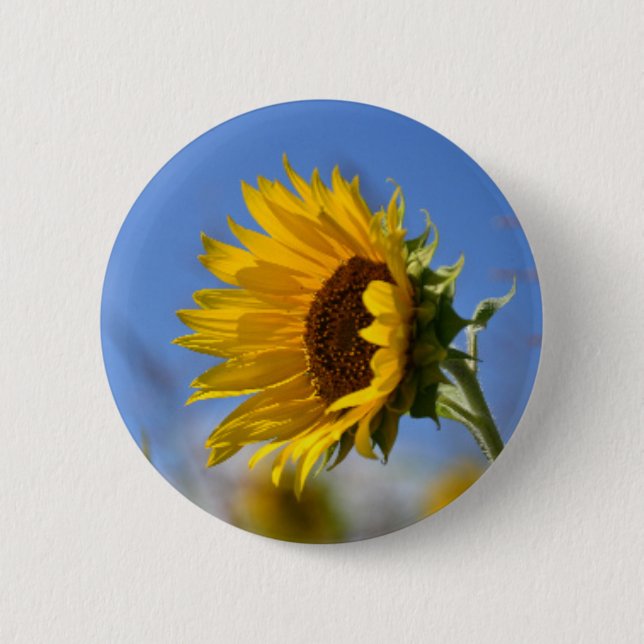 Sonnenblumen Button (Vorderseite)