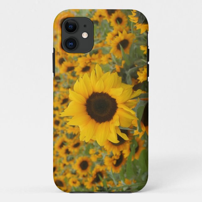 Sonnenblumen Case-Mate iPhone Hülle (Rückseite)