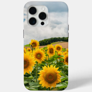Sonnenblumen Case-Mate iPhone Hülle