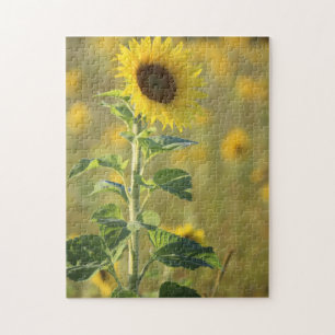 Sonnenblumen-Day-Puzzle