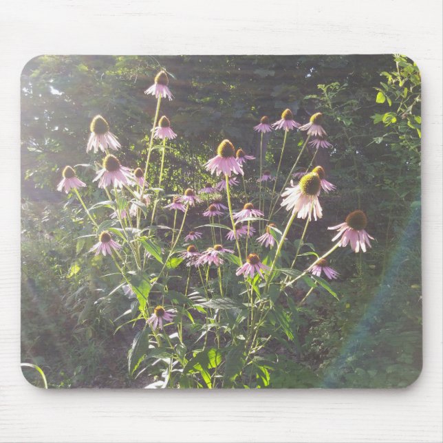 Sonnenblumen-Echinacea Mousepad (Vorne)
