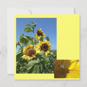 Sonnenblumen-Einladungskarte Einladung