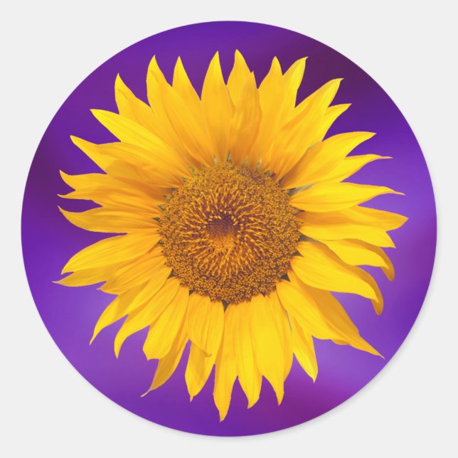 Sonnenblumen Elegante Lila Gastgeschenk Hochzeit Runder Aufkleber (Vorderseite)