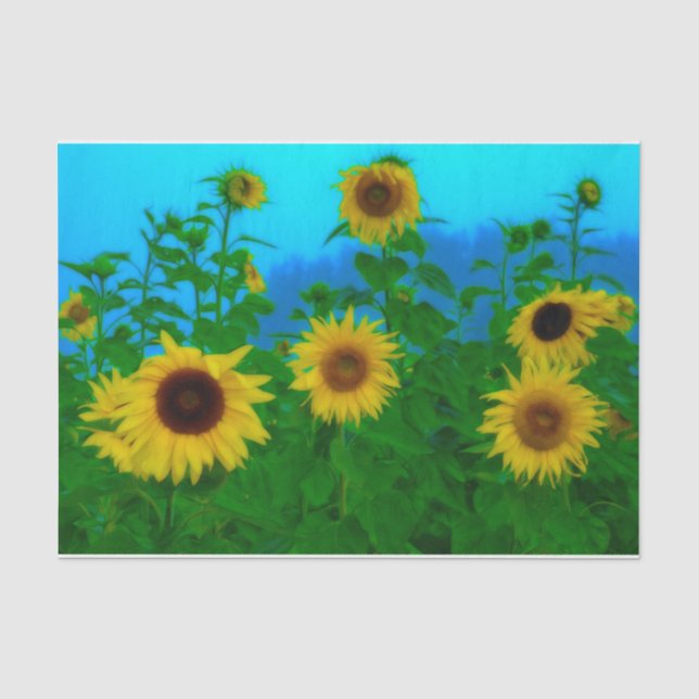 Sonnenblumen Feld Art Blue Sky Gelbe Grüne Gartena Seidenpapier (Vorderseite)