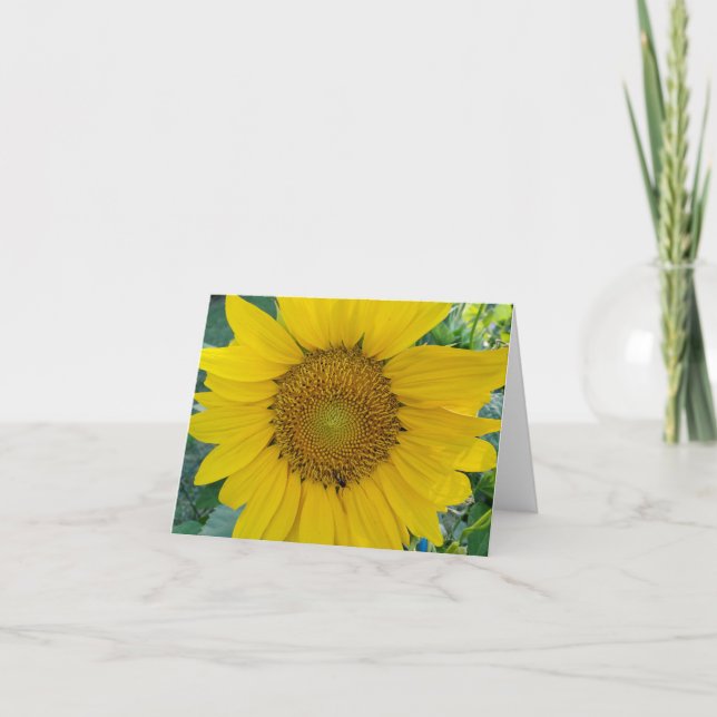 Sonnenblumen-Foto (Vorderseite)