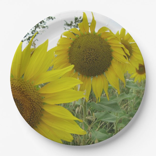 Sonnenblumen Foto Custom Paper Teller 9 in (Vorderseite)