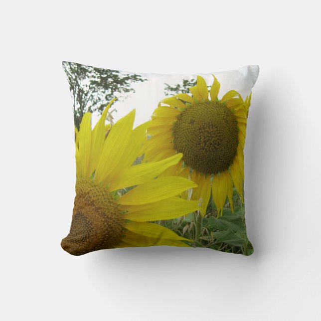 Sonnenblumen Foto Kissen 41 cm x 41 cm (Vorderseite)