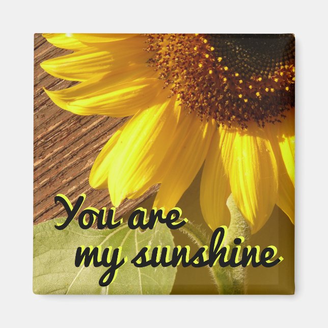 Sonnenblumen-Foto Sie sind mein Sonnenscheinmagazi Magnet (Vorne)