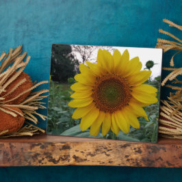 Sonnenblumen-Fotoplakette 8x10 mit Ständer für die Fotoplatte