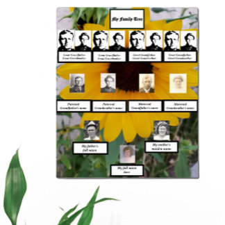 Sonnenblumen Fotos der Viergenerationsfamilie Poster
