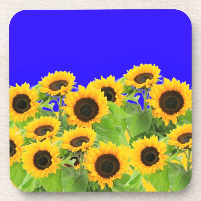 Sonnenblumen - Freiheit Ukraine Frieden ukrainisch Getränkeuntersetzer (Vorderseite)