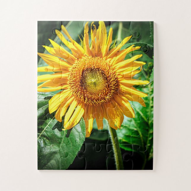 Sonnenblumen Freude (Vertikal)