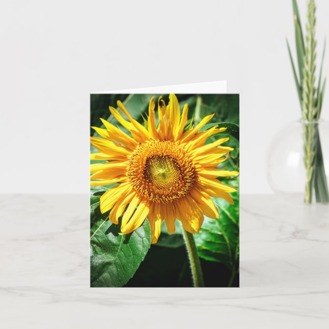 Sonnenblumen Freude Karte (Vorderseite)