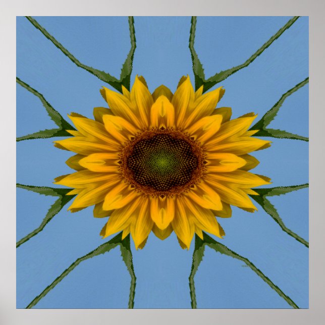 Sonnenblumen Freude .... Poster (Vorne)