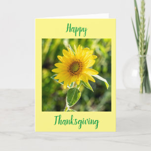 SONNENBLUMEN FÜR EINE "GLÜCKLICHE DANKSGIVING" WÜN FEIERTAGSKARTE