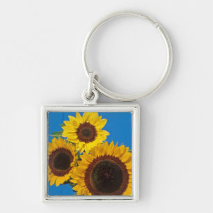 Sonnenblumen gegen blauen Zaun Schlüsselanhänger