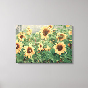 Sonnenblumen Gelbe Vintage-Textur Florale Kunst Leinwanddruck