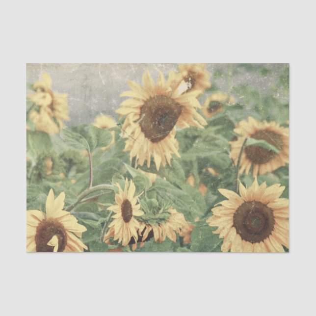 Sonnenblumen Gelbes Dekor Seidenpapier (Vorderseite)
