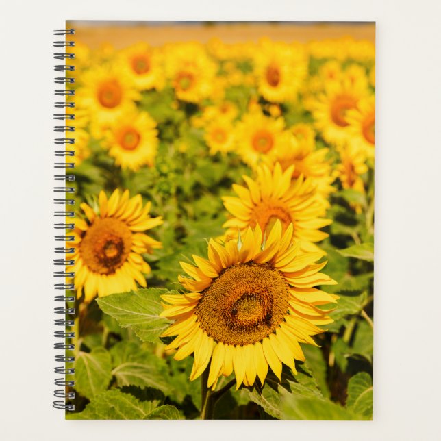 Sonnenblumen Geschenk für Reisen Planer (Vorderseite)