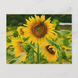 Sonnenblumen gestrichen postkarte