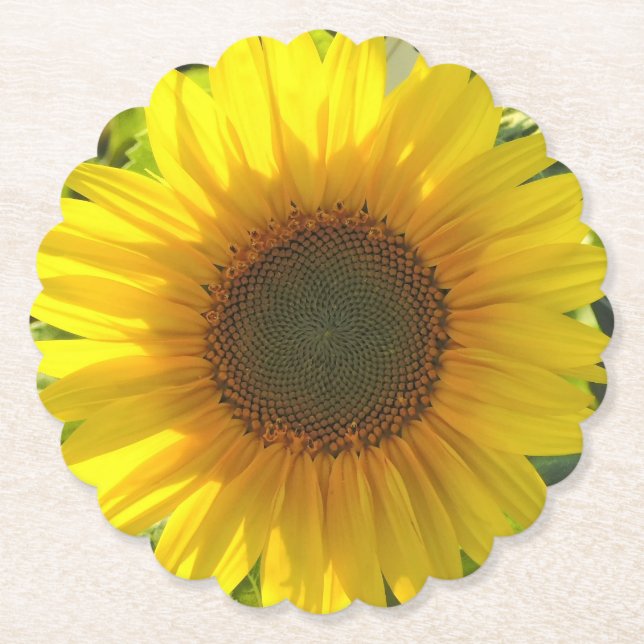 Sonnenblumen-Glanz Untersetzer (Vorderseite)