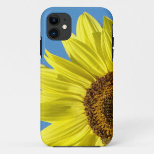 Sonnenblumen Handy Fälle Blue Sky deckt iPhone 11 Hülle