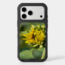 Sonnenblumen-Handyhülle