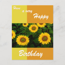 Sonnenblumen - Happy Birthday Postcard Postkarte