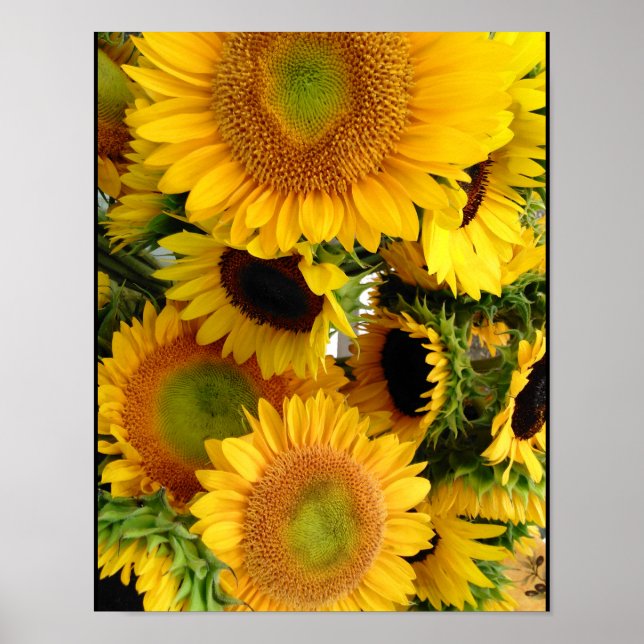Sonnenblumen Happy Yellows Poster Wall Deco (Vorne)