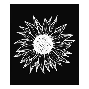 Sonnenblumen Hübsche Blume mehrfarbige Wildblume Fotodruck