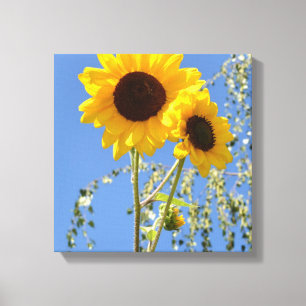 Sonnenblumen im Himmel-Leinwand-Druck Leinwanddruck