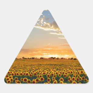 Sonnenblumen im Sonnenuntergang Dreieckiger Aufkleber