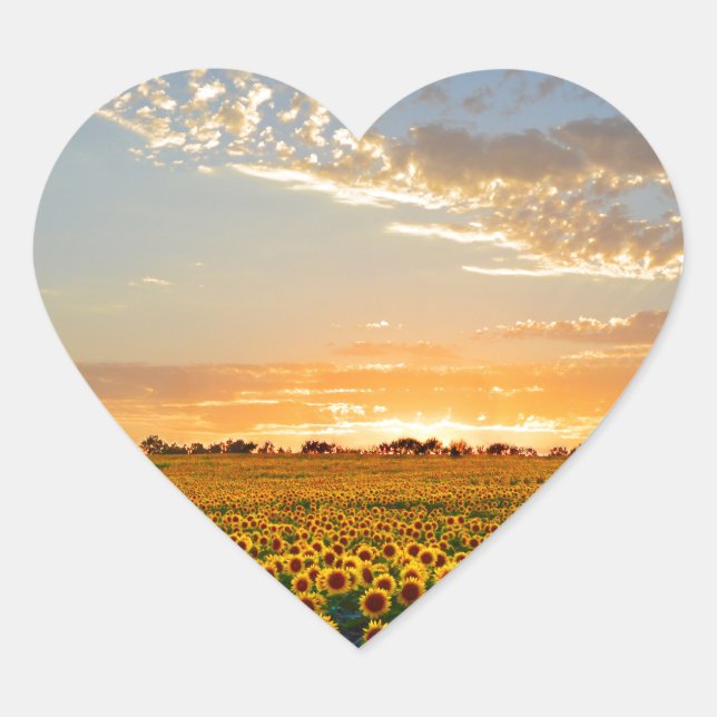 Sonnenblumen im Sonnenuntergang Herz-Aufkleber (Vorderseite)