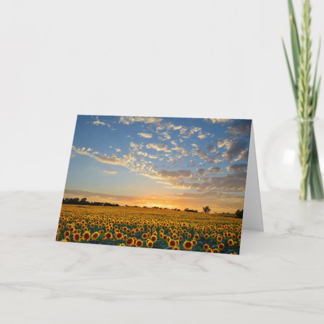 Sonnenblumen im Sonnenuntergang Karte (Vorderseite)