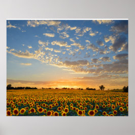 Sonnenblumen im Sonnenuntergang Poster