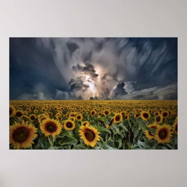 Sonnenblumen im Sturm Poster (Vorne)
