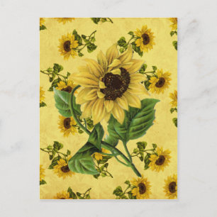 Sonnenblumen im Vintage-Stil Postkarte