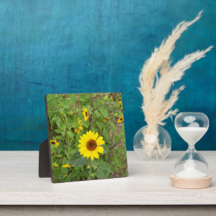 Sonnenblumen im Wind, Fotoplatte