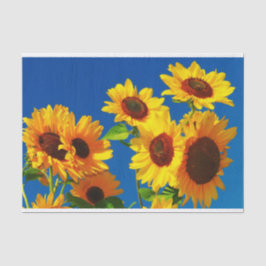 Sonnenblumen in Blumenzwirn Seidenpapier