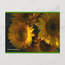 Sonnenblumen in der Abenddämmerung | Blue Beach So Postkarte