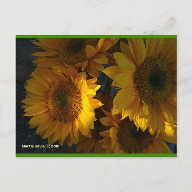 Sonnenblumen in der Abenddämmerung | Blue Beach So Postkarte (Vorderseite)