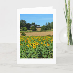 Sonnenblumen in Frankreich Feiertagskarte